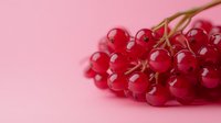 Fresh ripe red currant berries on branch against pink background, macro food photography with selective focus and copy space for text.