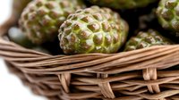 Custard apples in woven basket, fresh tropical fruit with bumpy green skin, suitable for food photography, culinary content, and grocery retail marketing.