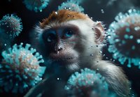 Dramatic portrait of a vervet monkey surrounded by glowing turquoise virus particles against dark background, scientific medical concept visualization.