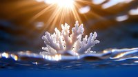 White coral formation emerging from crystal clear blue water with dramatic sunburst rays creating magical underwater marine ecosystem scene for nature photography.