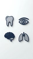 Medical icons set featuring tooth, eye, brain and lungs in navy blue and gray tones, modern minimalist style on white background.