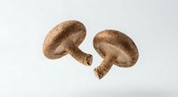 Fresh brown shiitake mushrooms isolated on white background for culinary design and healthy cooking projects.