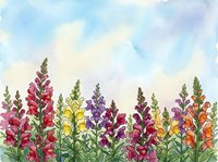 Colorful snapdragon flowers in a watercolor garden scene with soft blue sky, vibrant blooms in red, yellow, purple and orange tones.