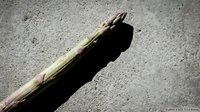 Fresh green asparagus spear with purple tips casting shadow on textured concrete surface for culinary and cooking concepts.
