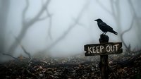 Black crow perched on weathered keep out sign in misty, barren landscape with bare branches. Moody atmosphere conveys warning and isolation for gothic, horror, or dark themed projects.