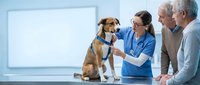 Female veterinarian examining mixed breed dog with stethoscope while senior couple watches during routine checkup at modern animal clinic.