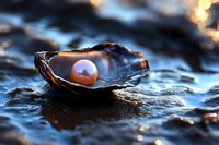 Single pearl in open black oyster shell on dark water surface with golden sunlight reflections creating magical marine atmosphere.
