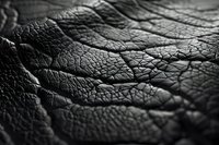 Close-up macro shot of black leather texture showing natural wrinkles, cracks and grain pattern in dramatic monochrome lighting for fashion and design backgrounds.