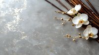 White orchid flowers and brown willow branches on gray concrete textured background with copy space. Suitable for spa and wellness design.
