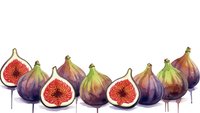 Fresh ripe figs whole and sliced showing red flesh isolated on white background for culinary design and healthy food concepts.