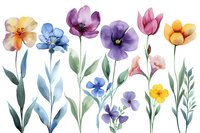 Delicate watercolor wildflowers in pastel colors with green stems and leaves on white background, botanical floral elements for spring and summer designs.