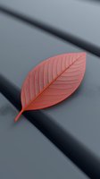 Single coral-colored leaf with detailed veining pattern on gray background, creating minimalist composition with strong contrast and soft shadows.