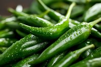 Fresh green chili peppers with water droplets for cooking and spice preparation in kitchen culinary applications.