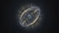 Glowing wireframe sphere with connected nodes and light rays on dark background, representing digital network, technology, data connection, and global communication for web and tech design.