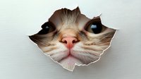 Curious cat face peeking through torn paper hole with bright eyes and pink nose on white background for creative design projects.