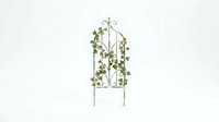 Decorative metal garden arbor with climbing vines and foliage, featuring ornamental scrollwork design for outdoor landscaping and botanical displays.