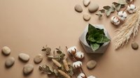 Natural eco-friendly spa composition with green leaves, cotton flowers, wooden elements and smooth stones on beige background for wellness design.