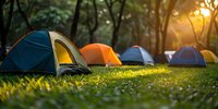 Colorful camping tents scattered in green grass meadow at sunset in forest campground, perfect for outdoor adventure and travel lifestyle design projects.