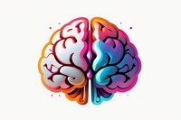 Colorful brain illustration showing creative and analytical thinking hemispheres in vibrant gradient colors from pink to blue, orange and purple on white background.