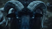 Dark and moody close-up portrait of black ram with large curved horns and piercing blue eyes against shadowy background, creating dramatic and mystical atmosphere.