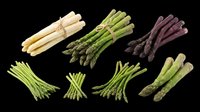 Asparagus bundles in white, green, and purple varieties isolated on transparent background, ready for clipart, print-on-demand, sublimation, and t-shirt design use.