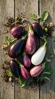 Fresh eggplant varieties arranged on rustic wooden planks with herbs and dried flowers for organic cooking and healthy Mediterranean cuisine recipes.