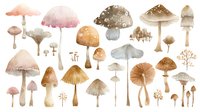 Delicate watercolor mushrooms in earthy tones arranged in rows, featuring various species with detailed caps and stems on white background, suitable for nature-inspired designs.