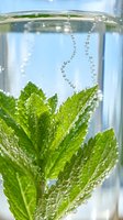 Fresh mint sprig submerged in sparkling water with rising bubbles, close-up macro shot for beverage, wellness, and detox concepts.