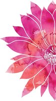 Watercolor flower with pink and coral petals featuring white outlines and detailed center stamens, isolated on white background for design projects.