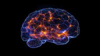 Glowing neural network visualization in shape of human brain with blue and orange light trails showing synaptic connections on black background.