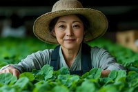 Asian female farmer in straw hat and apron smiling while tending to organic leafy greens in sustainable greenhouse garden. Agricultural lifestyle concept.