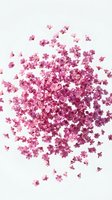 Pink dried flowers scattered on white background creating natural organic pattern for crafts and decoration projects.