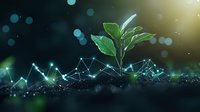 Young green plant sprout growing from digital network surface with glowing connections and bokeh lights in dark background, symbolizing technological growth.