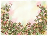 Watercolor autumn leaves frame with soft pastel colors and botanical foliage border, ideal for fall designs, invitations, and seasonal backgrounds.