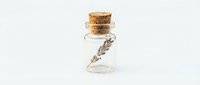 Small glass bottle with cork stopper and dried lavender sprig, isolated on white background, perfect for natural wellness and aromatherapy design projects.