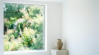 Minimalist interior with white wall, wooden shelf, ceramic vase, and large window overlooking lush green garden with flowering shrubs and trees.