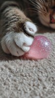 Close-up of cat nose and whiskers playing with pink glittery Christmas ornament on soft carpet, creating tender festive moment for holiday greeting cards.