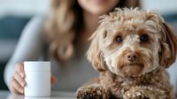 Small fluffy brown poodle mix dog sitting next to woman holding white coffee mug in cozy home setting for pet care and lifestyle content.