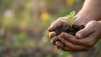 Hands holding seedling with soil, representing growth, environmental care, and sustainable agriculture for eco-friendly projects.