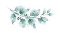Watercolor botanical branch with soft green leaves on white isolated background, suitable for design projects, invitations, and decorative applications.