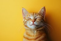 Smiling ginger cat with closed eyes against vibrant yellow background, expressing contentment and happiness. Portrait showcases feline emotion and personality.