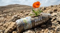 Vibrant orange poppy flower growing from recycled plastic bottle in arid desert landscape symbolizing environmental hope and nature resilience rebirth.