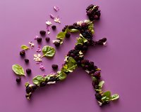 Running silhouette made from fresh blackberries, green spinach leaves and pink flower petals on purple background, creative healthy lifestyle concept.