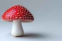 Red and white spotted mushroom amanita muscaria against light background, macro photography with selective focus and copy space for nature designs.
