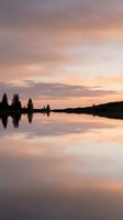 Serene lake at dusk with evergreen trees silhouetted against a soft pink and gold sky, their reflections mirrored in calm water. Ideal for nature, travel, and landscape projects.