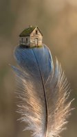 Surreal miniature wooden house with moss roof perched on blue bird feather against warm blurred background for creative design projects.