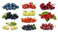 Assorted fresh berries including blueberries, red currants, black currants, gooseberries and cherries isolated on white background for food and beverage design.