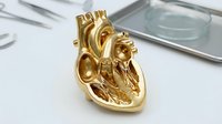 Golden anatomical heart model on medical desk with stethoscope and clipboard for cardiology education and healthcare training in clinical setting.
