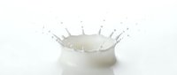 White milk splash crown with droplets on clean background perfect for dairy advertising and food photography projects.