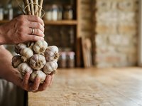 Mature male hands holding fresh garlic bulbs in rustic kitchen setting, suitable for cooking, food preparation, and culinary content.